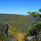 Illustration for article titled Fall Photos 2